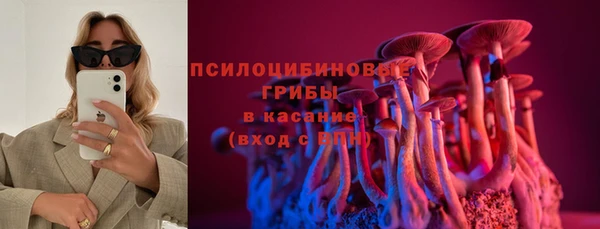 apvp Нягань