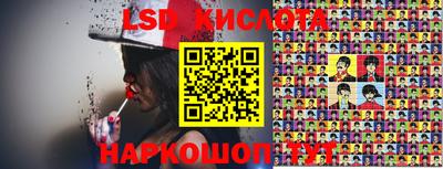 бошки Гатчина