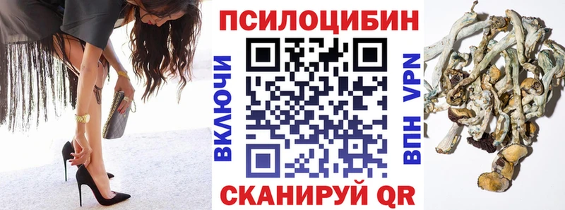купить  сайты  Коряжма  Псилоцибиновые грибы MAGIC MUSHROOMS 