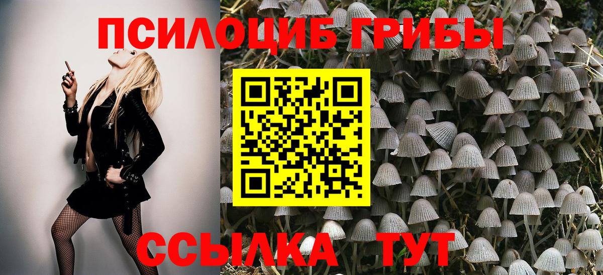 Галлюциногенные грибы MAGIC MUSHROOMS  Коряжма  Галлюциногенные грибы MAGIC MUSHROOMS 