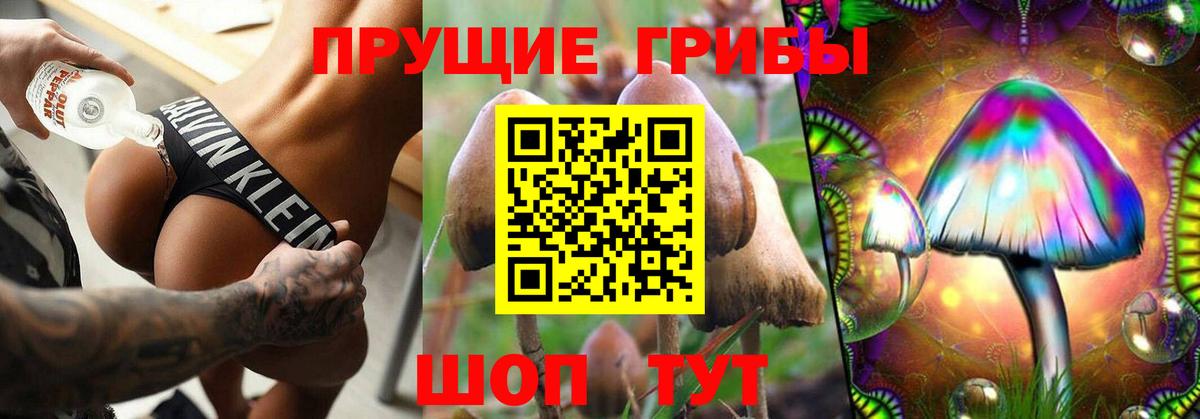Псилоцибиновые грибы GOLDEN TEACHER  Вход с VPN  Коряжма 